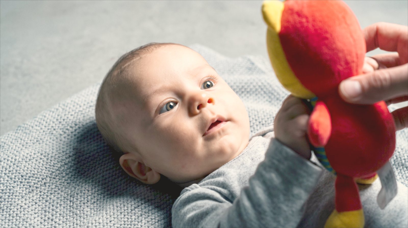 Bebé de 4 meses deitado a seguir com o olhar um brinquedo colorido